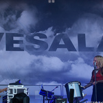 Vesala | Vesala Ruisrockissa 2017 (74/260)